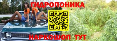 ECSTASY Пушкино