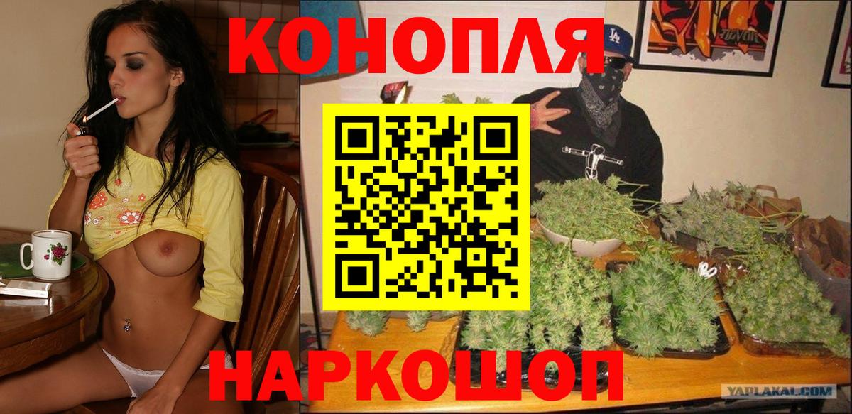 Бошки Шишки планчик  Вход с VPN  Сосновоборск  Марихуана White Widow  Шишки марихуана марихуана 